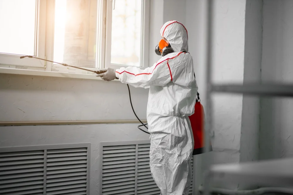 Professional mold remediation services in Hereford, CO